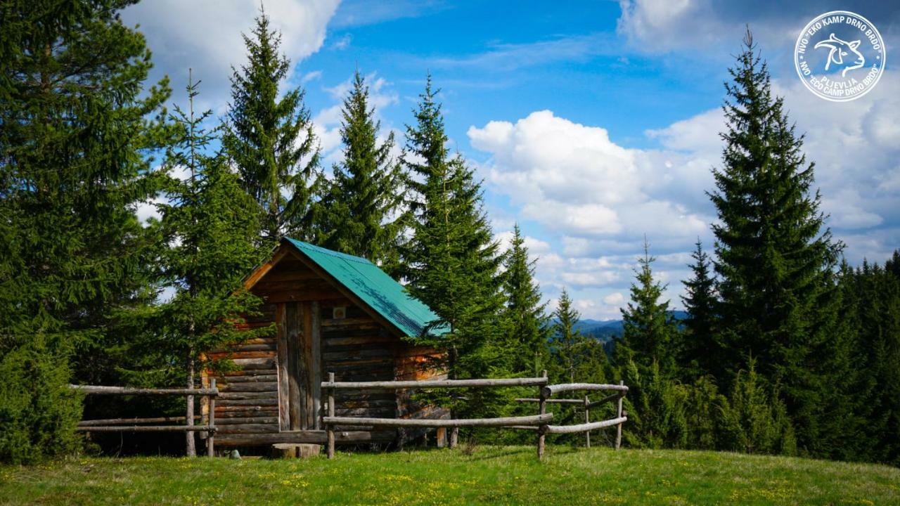 Villa Eco Camp Drno Brdo Kosanica Exterior foto